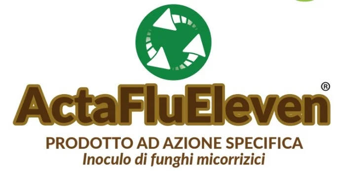 Acta Flu Eleven Logo