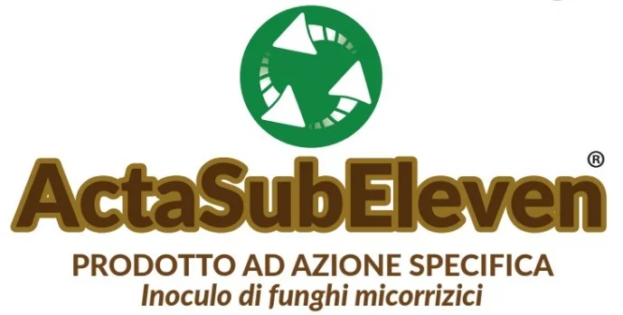 Acta Sub Eleven Logo