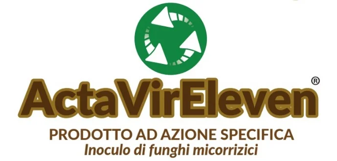 Acta Vir Eleven Logo